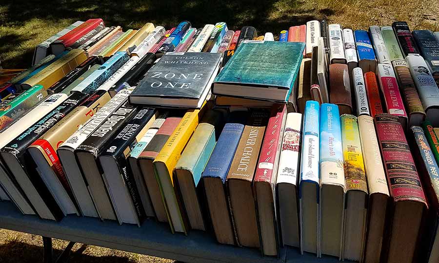 The Windham Free Library book sale